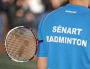 badminton combs2.jpg

