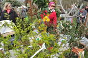 printemts jardiniers chateau de la grange 23-03-2013 041.JPG
