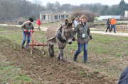printemts jardiniers chateau de la grange 23-03-2013 073.JPG
