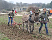 printemts jardiniers chateau de la grange 23-03-2013 074.JPG
