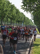 63 - Semi marathon 2023 - CollectifAllianceSenart - Thierry Armand.jpg